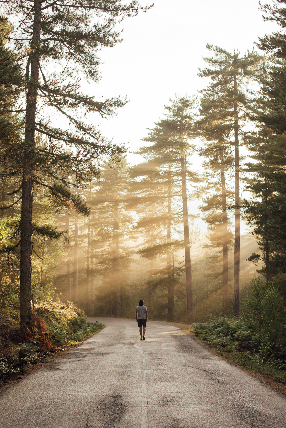 Guided Pathways