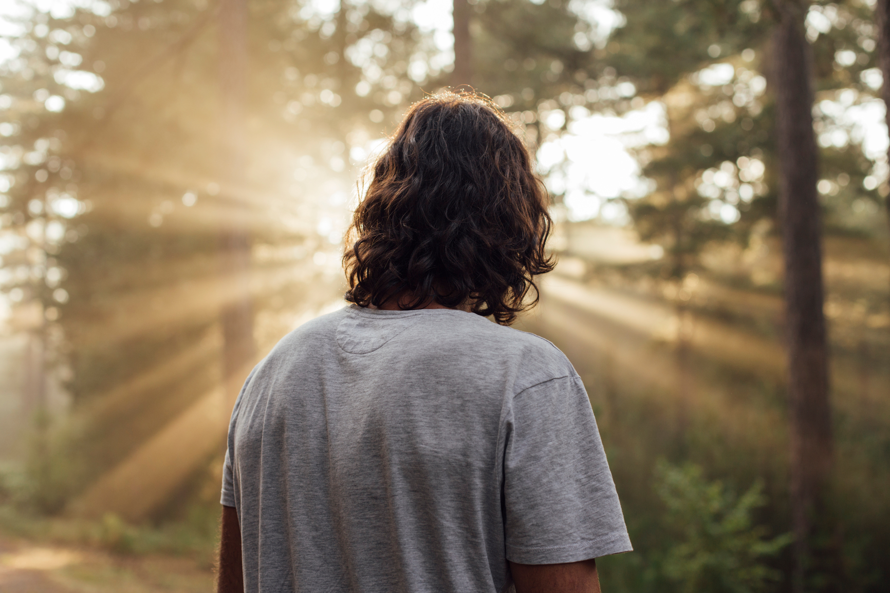 Person standing in forest with golden sunlight streaming through trees
